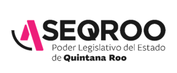 ASEQROO AUDITORIA FINANCIERA logo